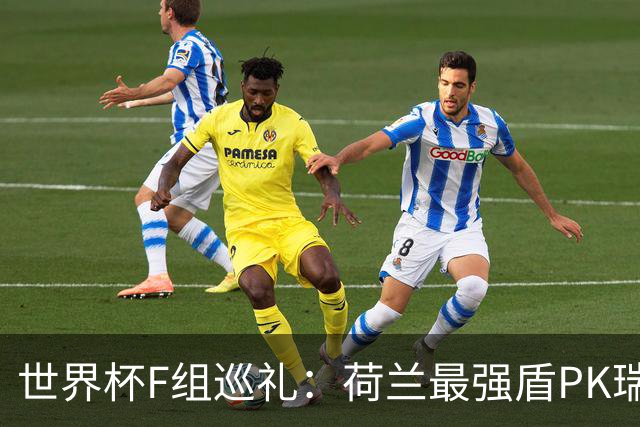 世界杯F组巡礼：荷兰最强盾PK瑞典犀利刀 日本短板明显