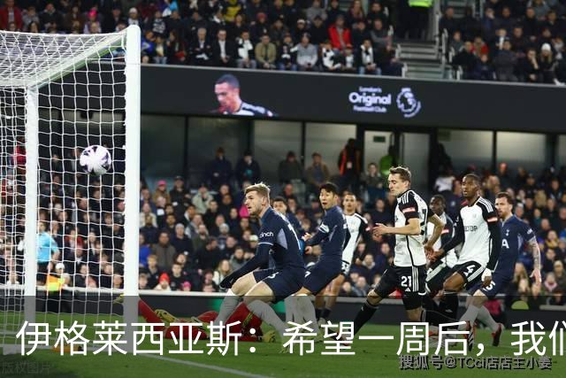 伊格莱西亚斯：希望一周后，我们能和西班牙球迷一起庆祝夺冠