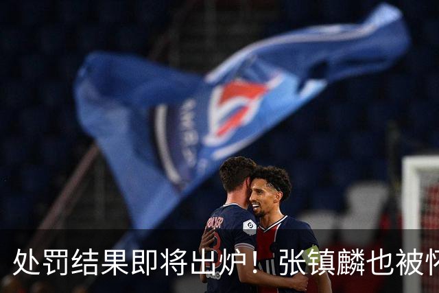 处罚结果即将出炉！张镇麟也被怀疑，球迷呼吁应取消上海冠军