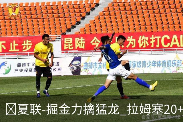 🏀夏联-掘金力擒猛龙 拉姆塞20+8 西尔斯17+6 伯内特15+9
